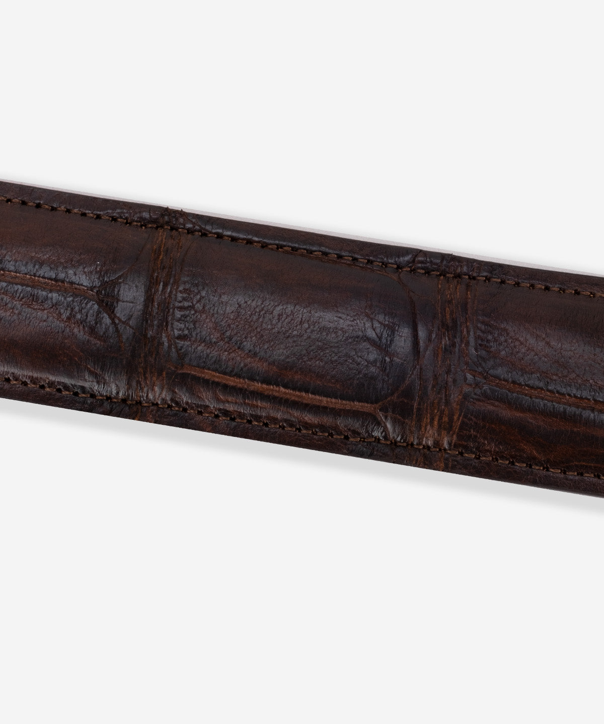Tapered American Alligator Belt