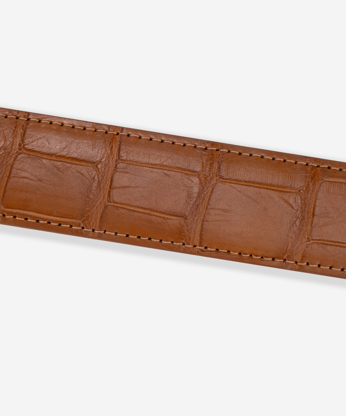 Tapered American Alligator Belt