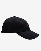 Flying Z Ball Cap