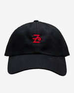 Flying Z Ball Cap